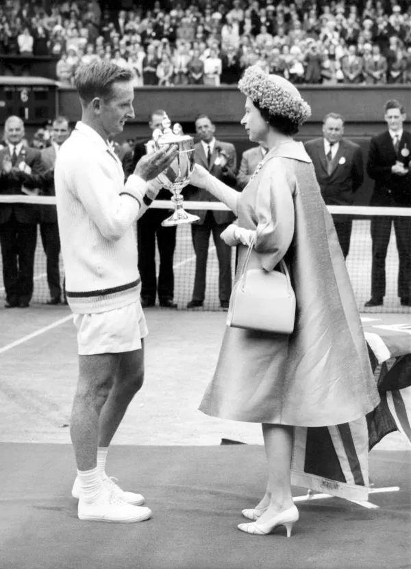 媒体的内容 媒体的内容