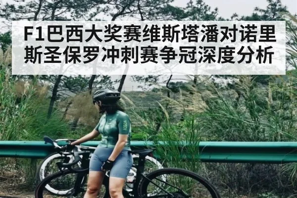 F1巴西大奖赛维斯塔潘对诺里斯圣保罗冲刺赛争冠深度分析 | kaiyun